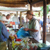 The Kingwill's artisan cheeses